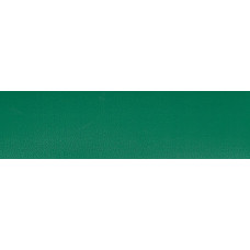 Кромка ПВХ 2*19 Зелёная 1861 (100)